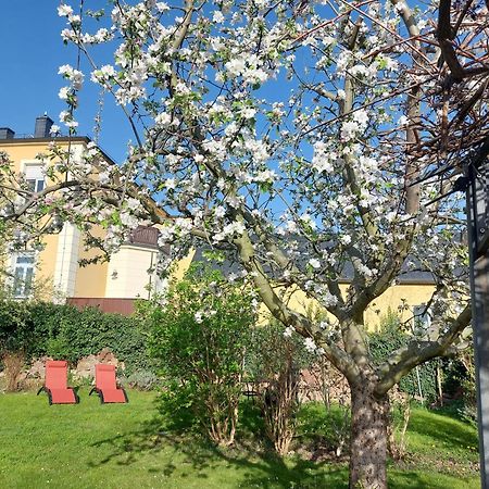 Villa Tini Radebeul Exterior foto