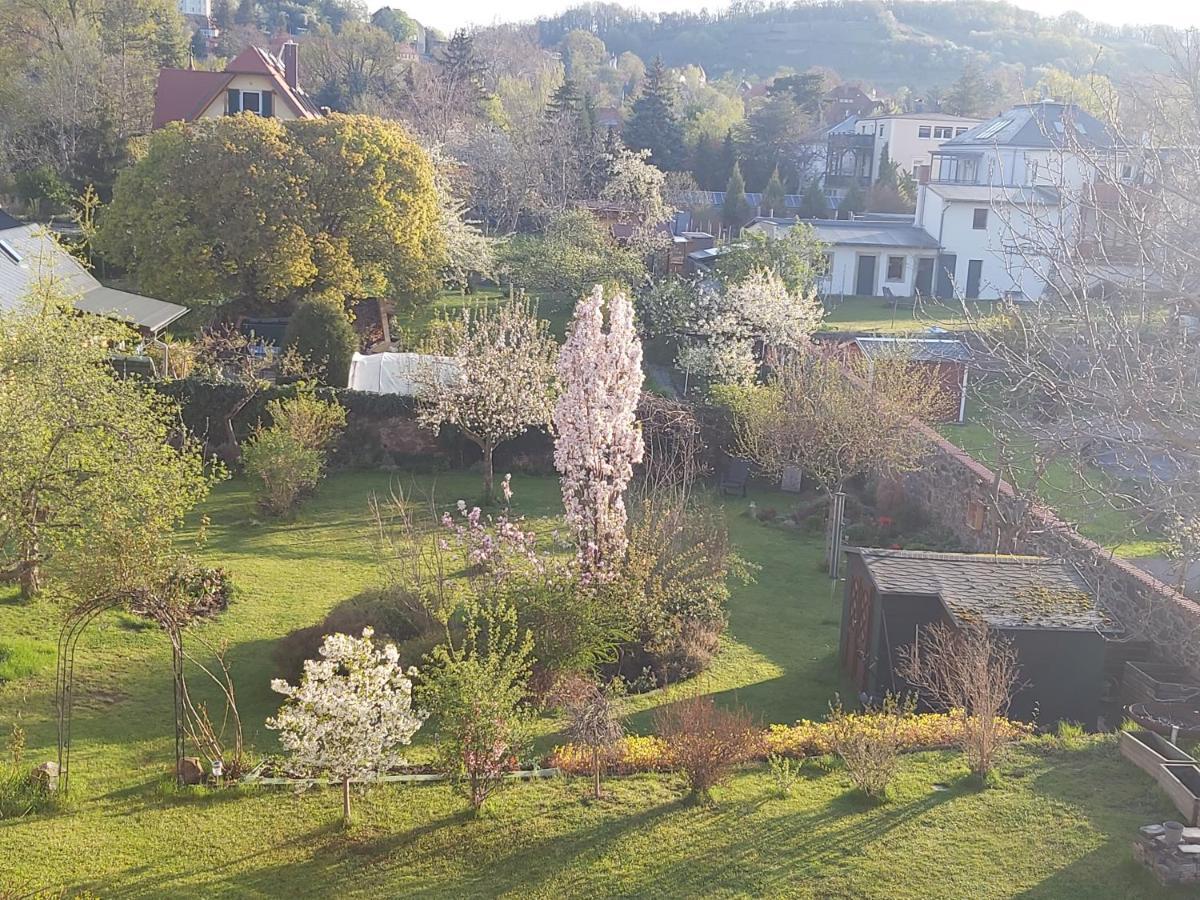 Villa Tini Radebeul Exterior foto